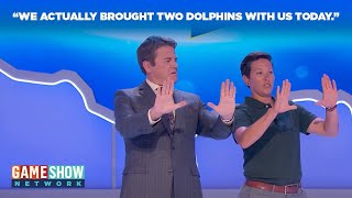 John Michael Higgins Learns to Train Dolphins | America Says | Game Show Network