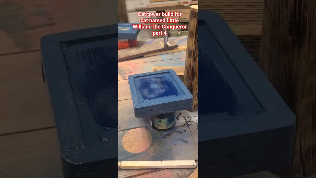 Cat tower build part 4 For cat named Little William The Conqueror