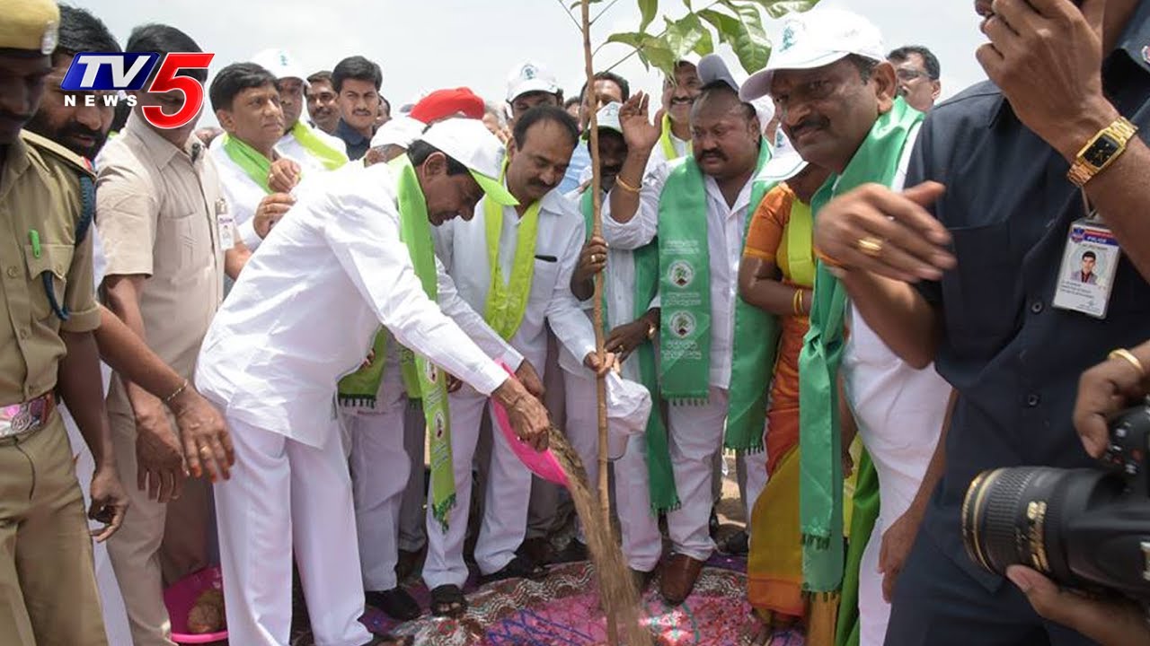 CM KCR Launches 3rd Phase of Haritha Haram In Karimnagar | TV5 News