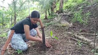 ART APPRECIATION - PERFORMANCE TASK - TREE PLANTING