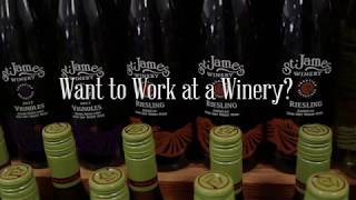 Behind the Barrels: New St. James Winery Winemaker Series Wines