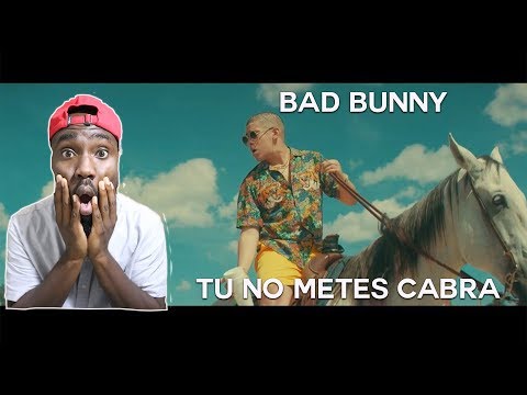 Bad Bunny - Tu No Metes Cabra| Video Reaction