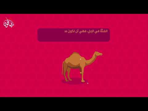 الفرق بين الذبح والنحر وآدابهما