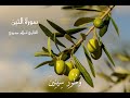 أ ترك الحياة جانب ا واستمع للقرآن سورة التين القارئ اسلام صبحي     