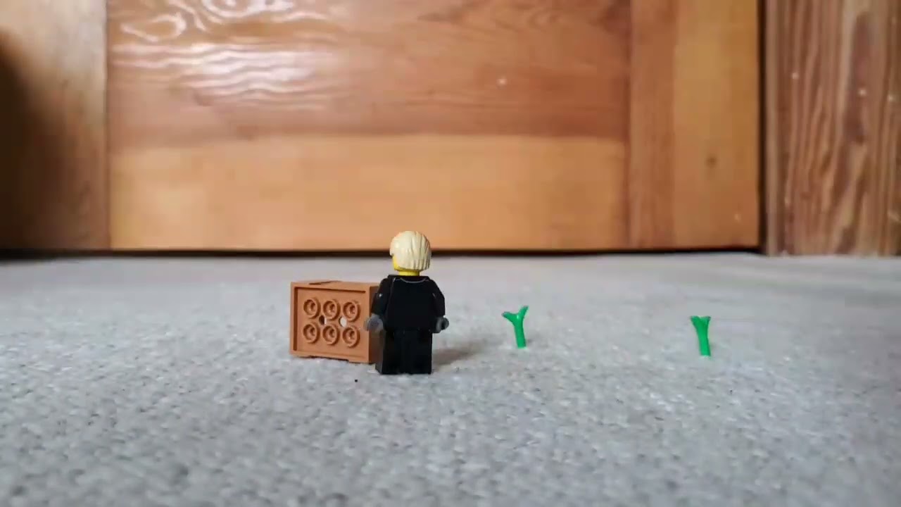 I grew a vegetable garden from Lego!