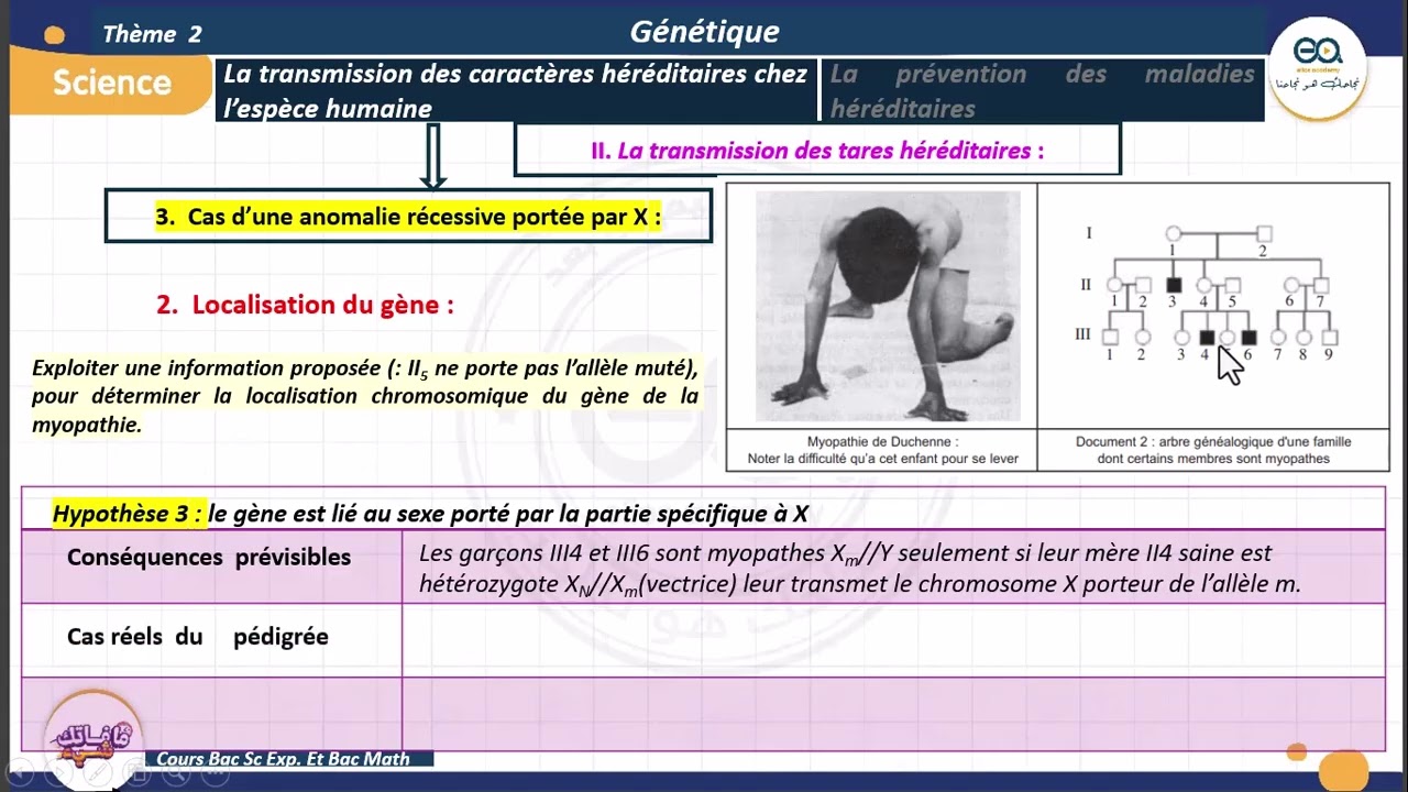 04_Génétique humaine : Cas d'une maladie récessive portée par X