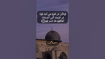 سورة محمد الآية ١٢ الى ١٤ بصوت الشيخ محمد صديق المنشاوي