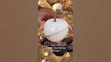 #سورة_الإخلاص #مصطفى_شريف #عبدالرحمن_مسعد #العفاسي_قرآن #قران_كريم #هزاع_البلوشي #سعيد_الكملي