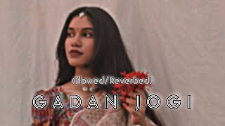 Gadan Jogi | Raju Punjabi | lofi(slowed/reverbed) @EDIFY23