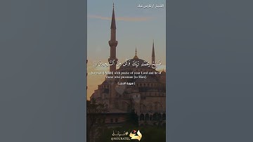 ولقد نعلم أنك يضيق صدرك بما يقولون 🍃بصوت القارئ #فارس_عباد