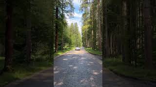 😲😲 Porsche 911 GT3 RS 992 Crazy Launch &amp; Sounds #porsche911 #porschegt3rs #supercars