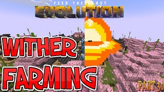 Wither farming with style all day long! Minecraft FTB Evolution playthrough ep.30