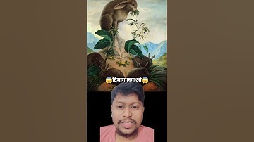 Riddle Illusion #riddlechallenge #shortvideo #riddles