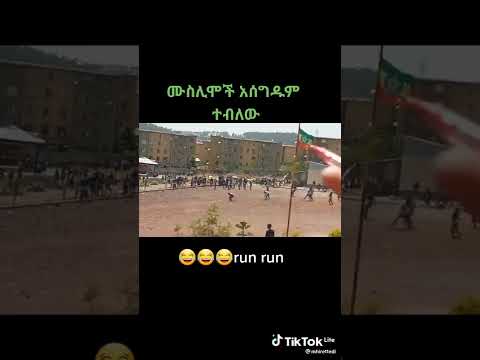 ቪዲዮ: ቾር ባዛር ሙምባይ፡ የፎቶ ጉዞ እና መመሪያ