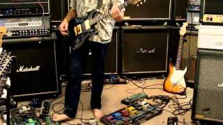 2003 Paul Reed Smith PRS Custom 22 Artist Whale Blue Demo.mpg