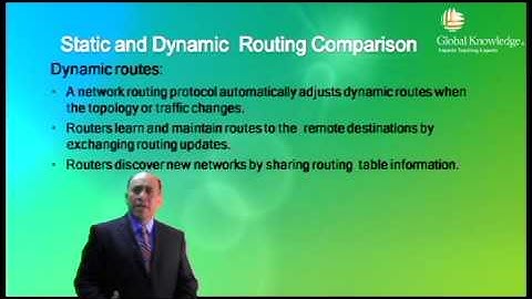 Rutas estáticas y dinámicas