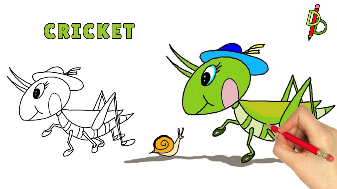 How to Draw a Cricket 🦗