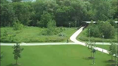 Martin Wildberger All: IBM Toronto Software Lab