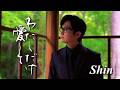 Shin「わたしだけ愛して 」ミュージックビデオ 2026/11/18発売