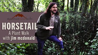 Horsetail | A plant walk with jim mcdonald