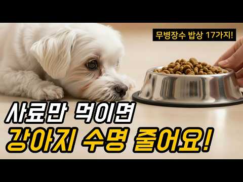사료만 주는 집 vs 챙겨주는 집, 강아지 수명은 여기서 달라집니다.