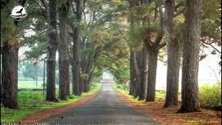 Annie Locke - A Stroll Down Memory Lane