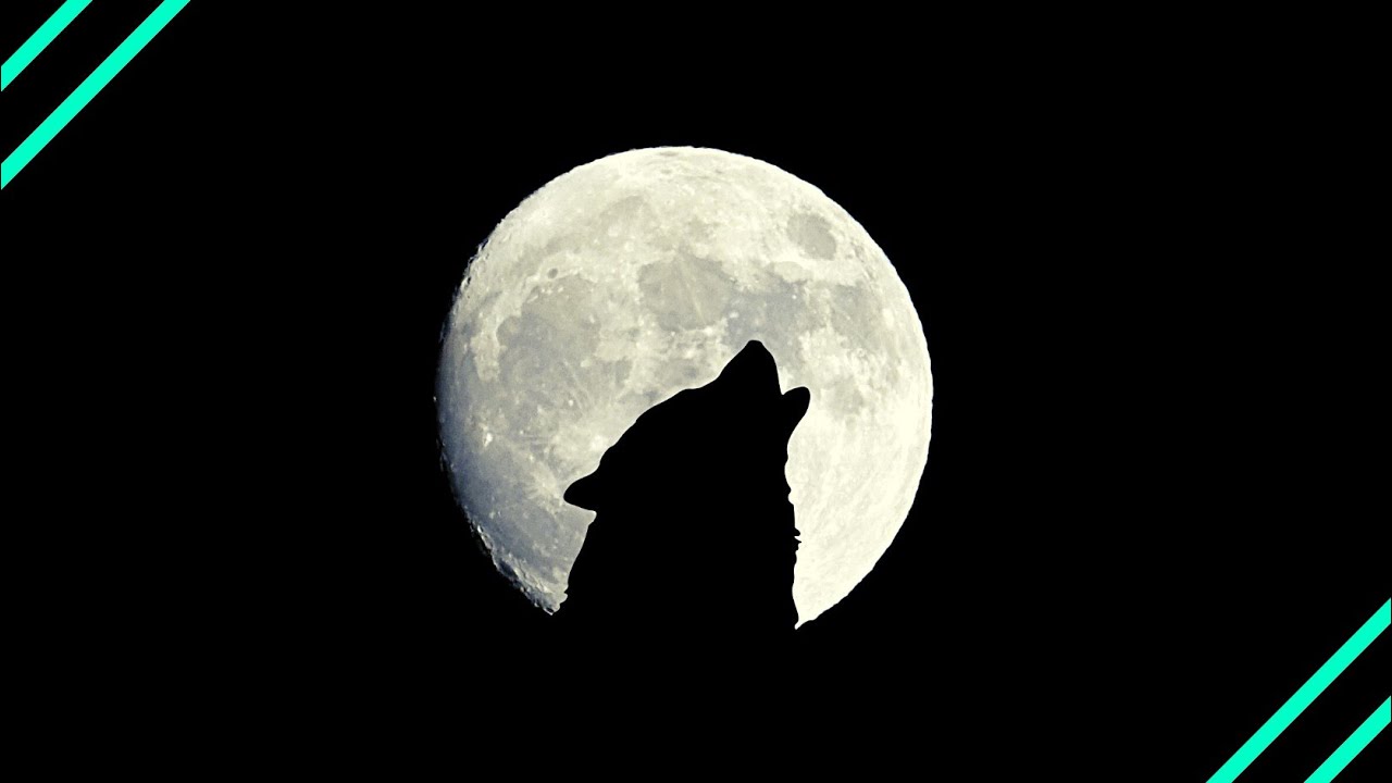 8D Music | slowed + reverb | Trevor Daniel - Falling