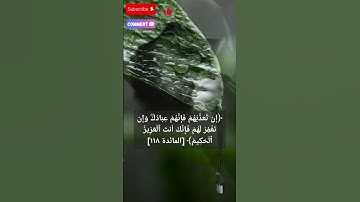سورة المائدة الآية ١١٨  #اسلام #اكسبلور #حديث #قرآن #نصائح