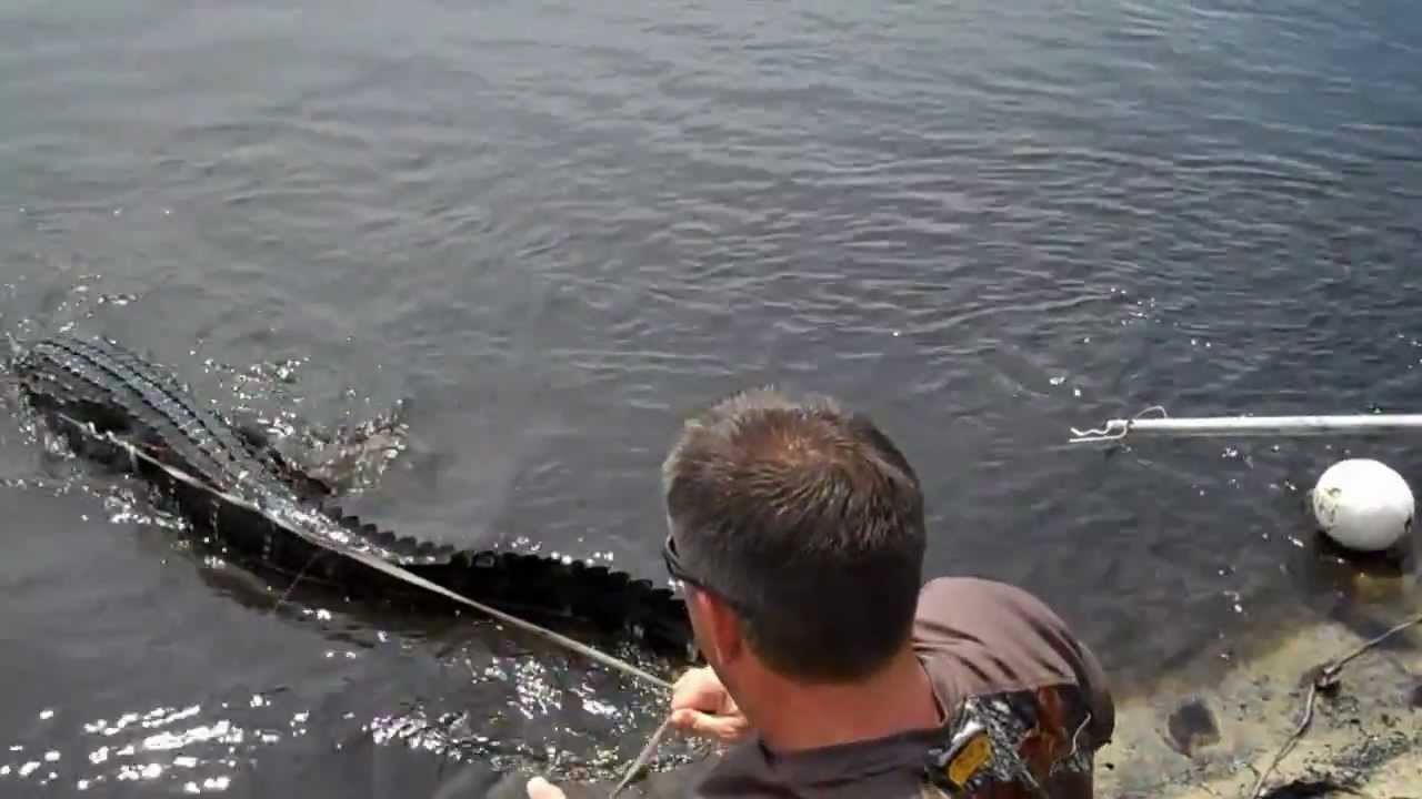ALLIGATOR HUNT 10 year old boy gets Florida Alligator-Lakeside Adventures-(Lakesideadventures.net)