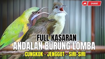 MASTERAN TEMBAKAN MEMATIKAN || BESETAN - CUNGKOK GEREJA TARUNG - TEPUS  || KUNTI MENJERIT PANJANG