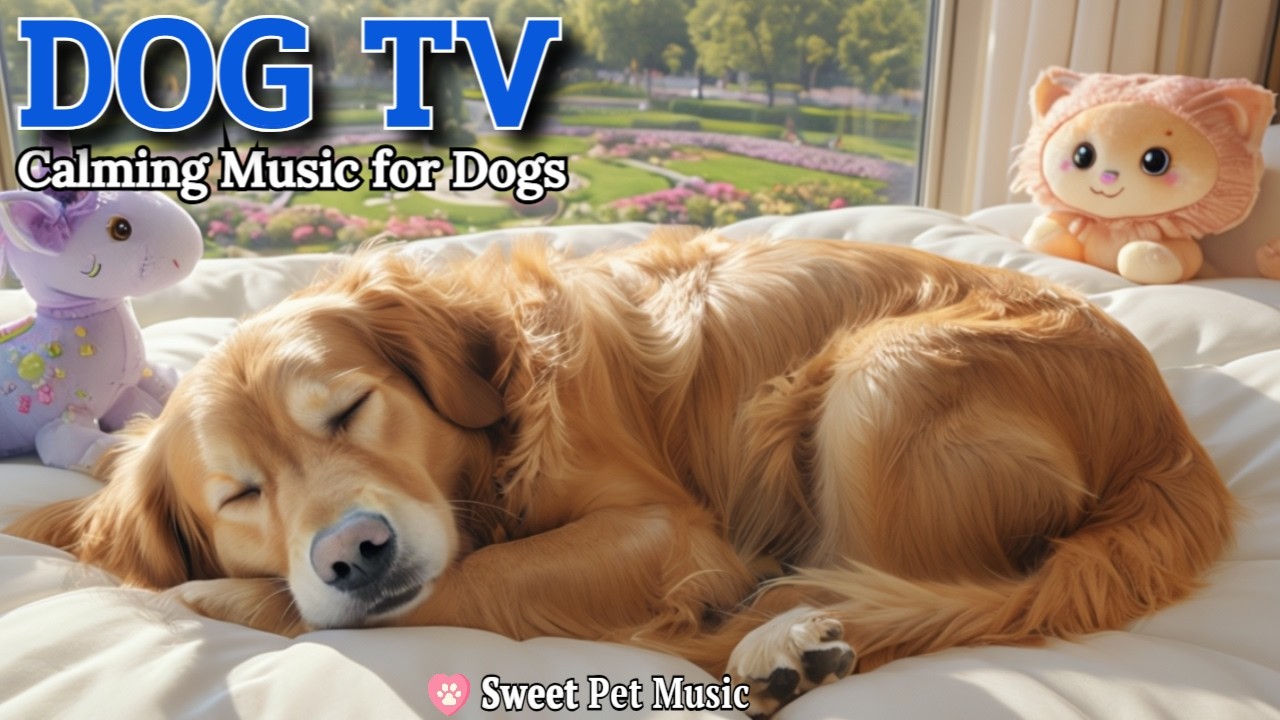 20 Hours of Calming Dog Music🦮💖Ultimate Relax for Deep Sleep