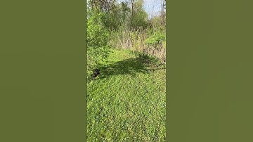 Shadows, mirrors, reflections