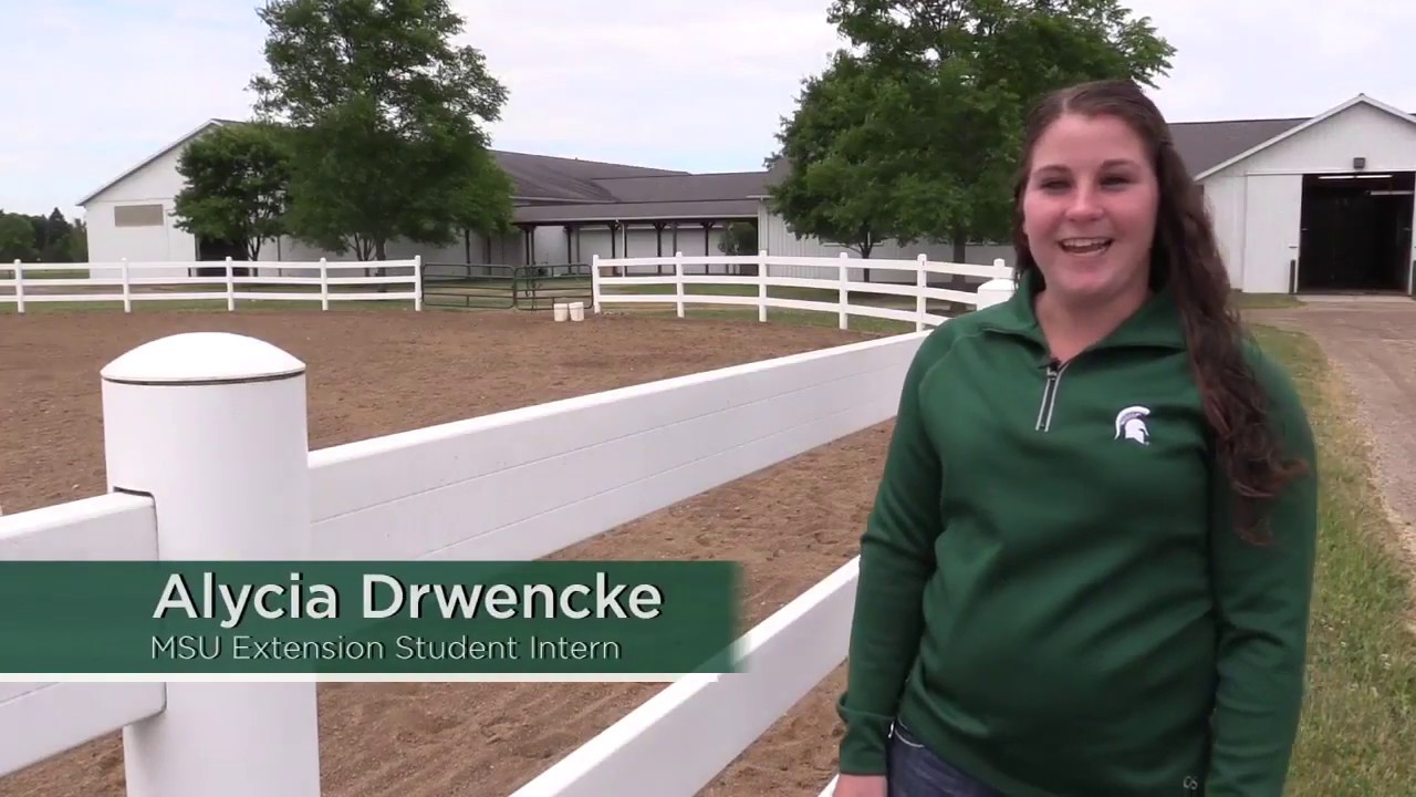 Pros and Cons of Plastic Polymer Fencing