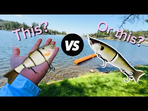 Swimbait VS Glidebait CHALLENGE!