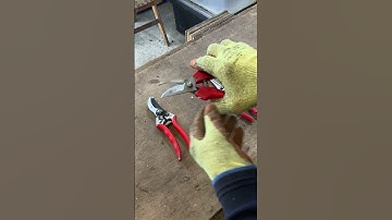 My FAVOURITE PRUNERS