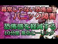 パニック障害の恐怖感を軽減する10分間氣幸ヒーリング