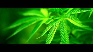 Explo feat. Timp - Ich und mein WeeD.mp4