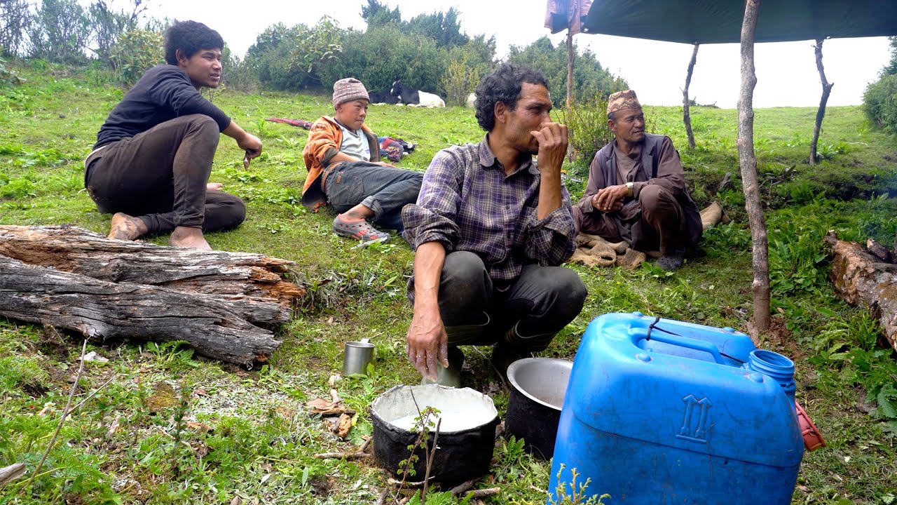Himalayan shepherd life of Nepal || life in rural Nepal || 