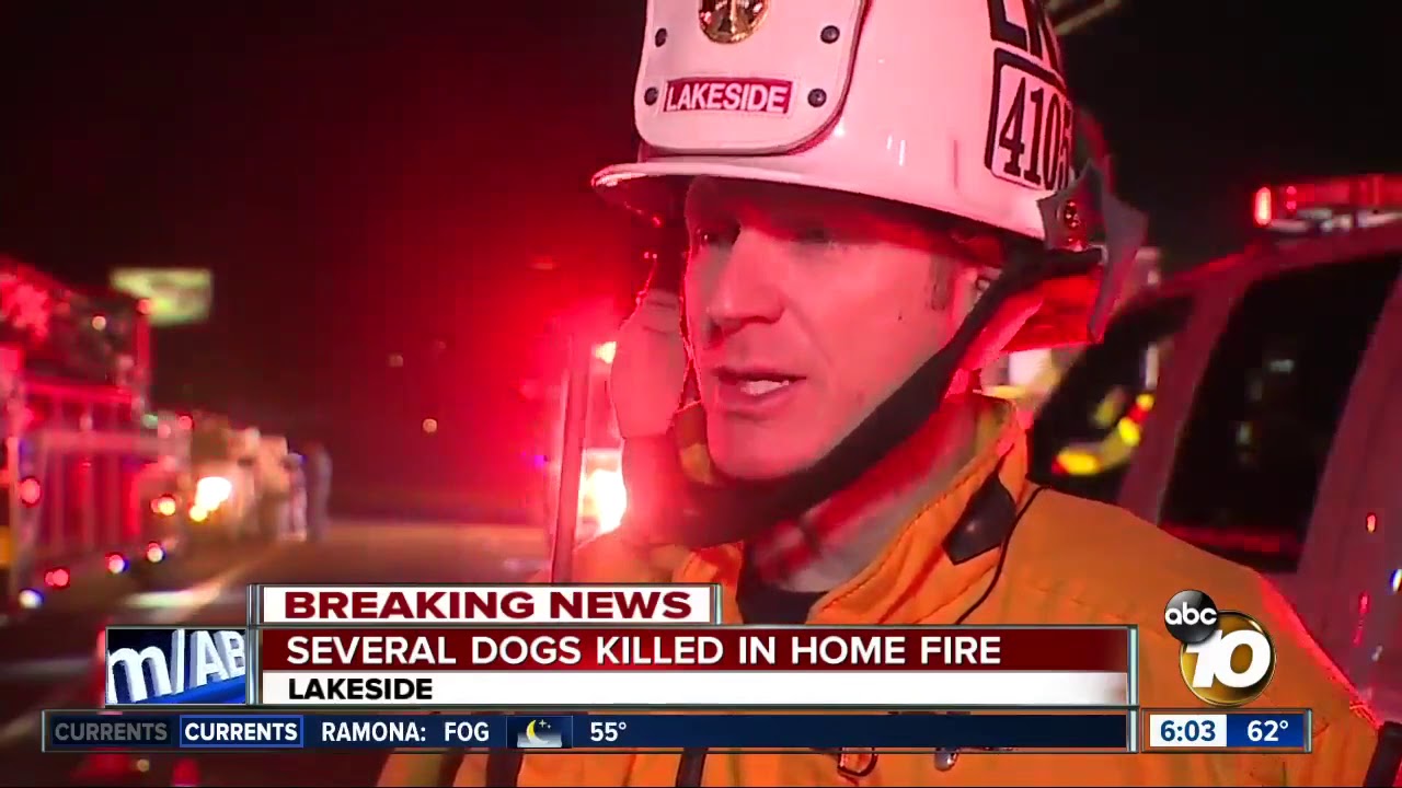 Five dogs killed in Lakeside house fire - YouTube