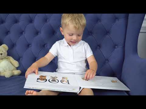 Детские тактильные книги MOO, CAT и DOG автора Мэтью Ван Флит Детские тактильные книги MOO, CAT и DOG автора Мэтью Ван Флит