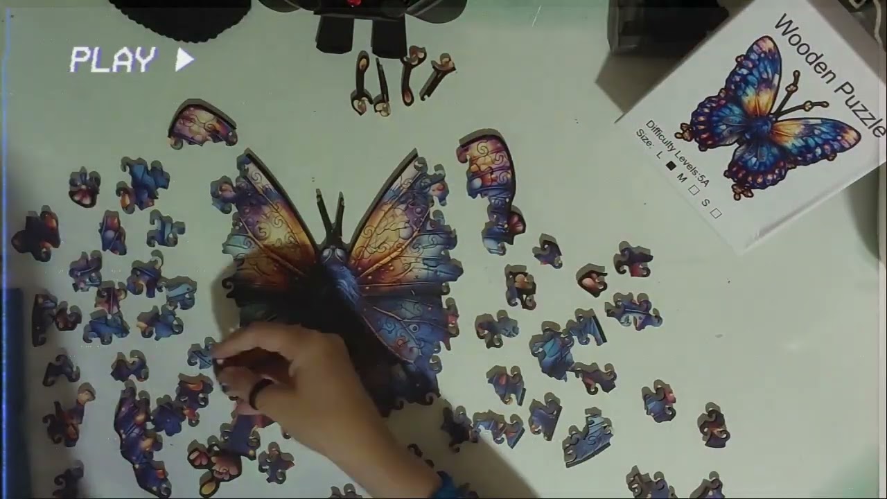 Puzzle of the day: Butterfly