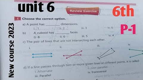 Review Exercise unit 9 Class 6th Maths kpk and ptb new course 2023 Based on SNC