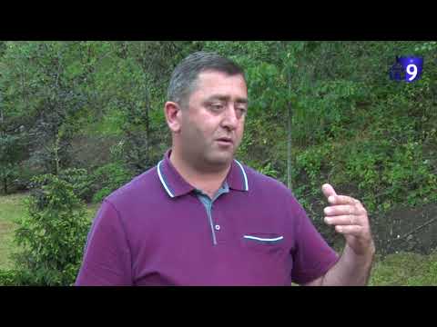 \"მინახავს ათობით ტურისტი, რომლებსაც გაშლილი აქვთ კარავი და ღია ტყეში ცხოვრობენ\" - ადიგენის მერი