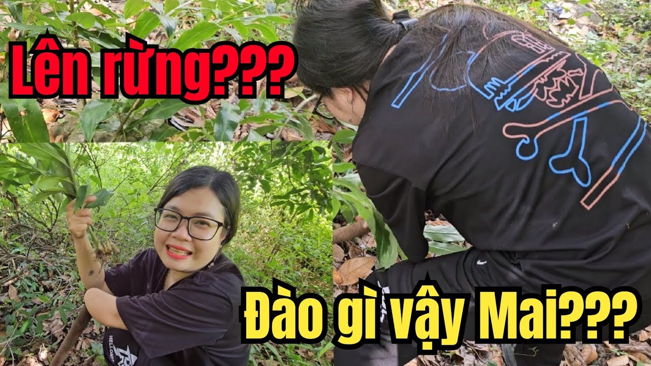 Cô Gái 1 Tay Lên Rừng Đào Gì Mà Hùng Hục Vậy?? Đào Được Gì Đây?