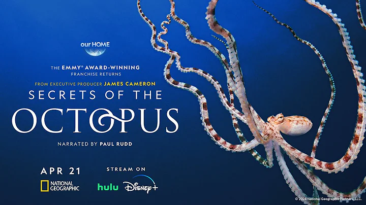 Secrets of the Octopus | Official Trailer | National Geographic | Fremantle