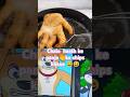 haath ka chips #easyrecipe #recipe #cooking #food #shortvideo #treat #comedy #trending #viral