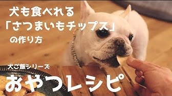 犬おやつ Youtube