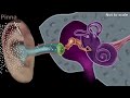 Human ear - structure & working | Sound | Physics | Khan Academy Mp3 Song