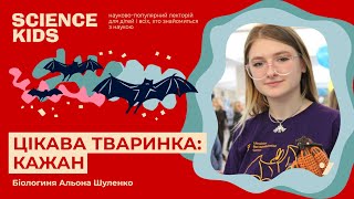 Цікава тваринка: кажан. Біологиня Альона Шуленко