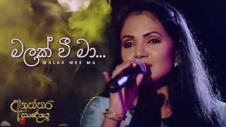 Video thumbnail of "මලක් වී මා | Malak Wee Ma | Shashika Nisansala (ශෂිකා නිසංසලා)"